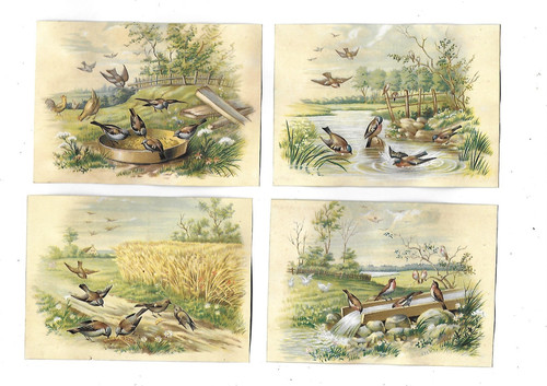 Anciens chromos - 4,