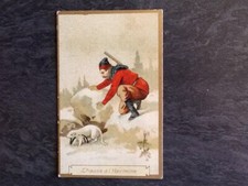 LOT 2 CHROMOS CHICOREE A LA