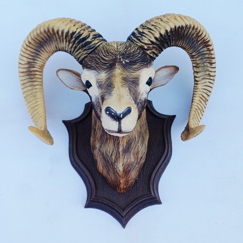 Trophee grande tete bouc en - grande,