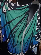 Déguisement aile de papillon