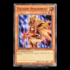 carte YU-GI-OH SGX3-FRD04