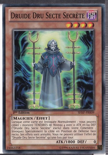 Druide dru secte secrète - druide,