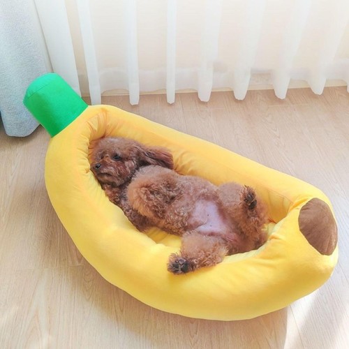 Lit gigogne pour chien