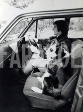 Photo de presse vintage Chien