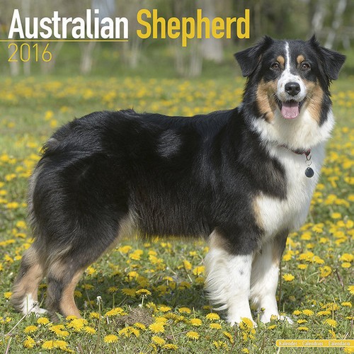 Calendrier 2016 berger - -,