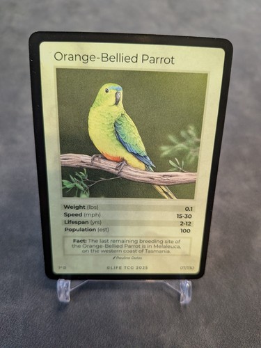 2025 life tcg - 2025,