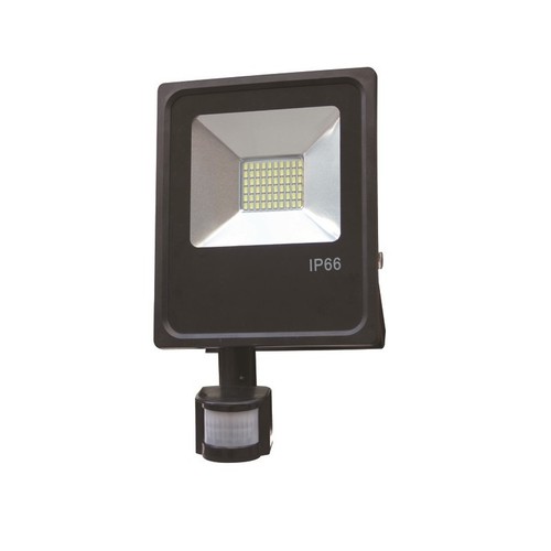 Projecteur led 30w avec - projecteur,