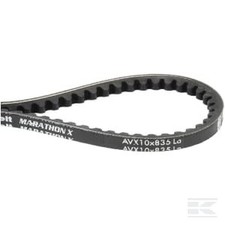 Lombardini 2440513 Courroie