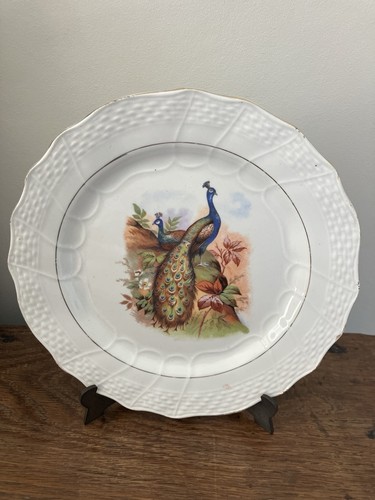 Belle assiette - belle,