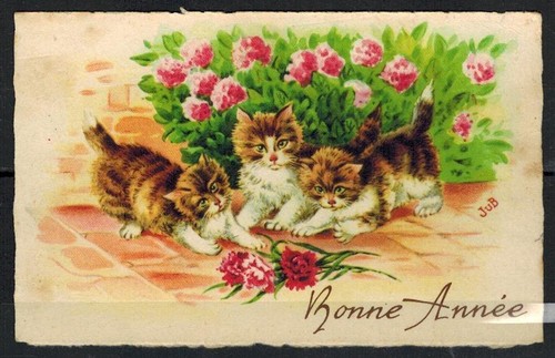 Carte postale - carte,