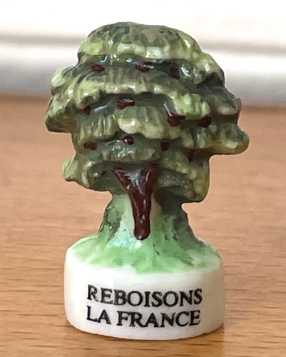 Fève arbre reboisant - fève,