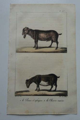 Lithographie 1825 c - -,