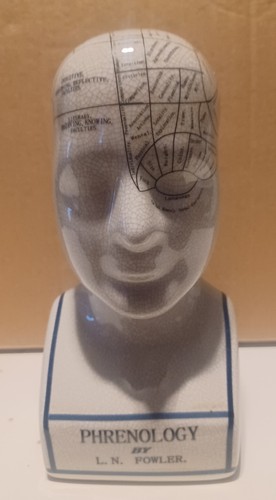 Vintage phrenology head - bust, l