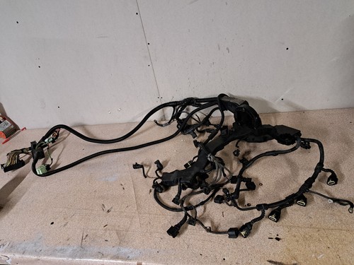 Faisceau moteur bmw e92 - m3, e93