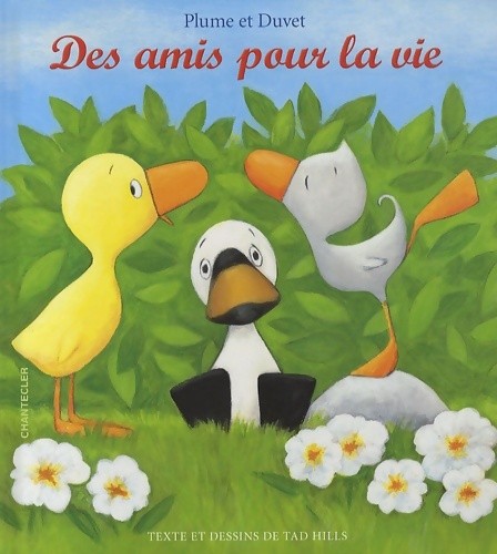 Plume duvet des - et,