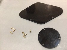 Gibson 1971 Lez Paul Custom Back Panel