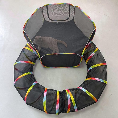 Tente pour chat - tente,
