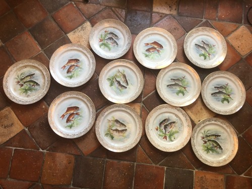 Lot assiettes decor - 12,
