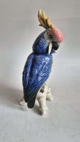 Rare karl ens perroquet - karl,