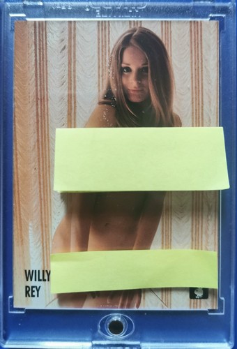 1995 playboy centerfold - 1995,