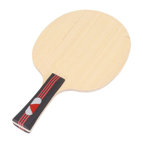 Lame raquette tennis de - de,