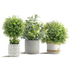 3 Pièces Plantes