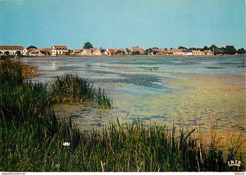 Carte postale lingé - postale,