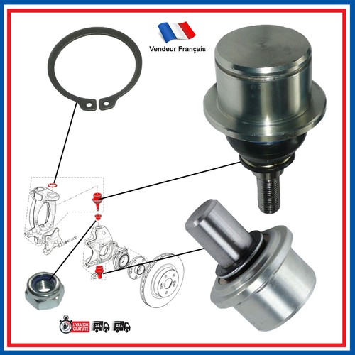 Rotule inférieure - , +
