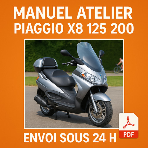 Manuel atelier piaggio 125 - manuel,