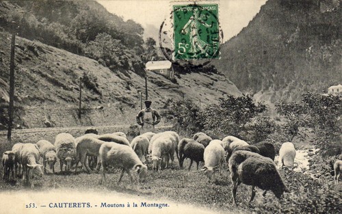 Old postcard pyrenees - 65,