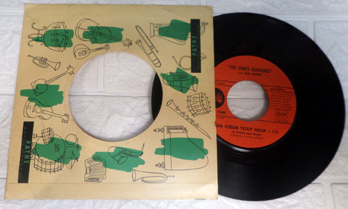 Vinyle 45t les chats sauvages - 45t,