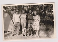 old photo ?️ family forest holidays circa 1950 dog tent