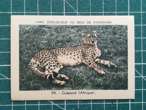 Vr298 chromo parc - , zoologique