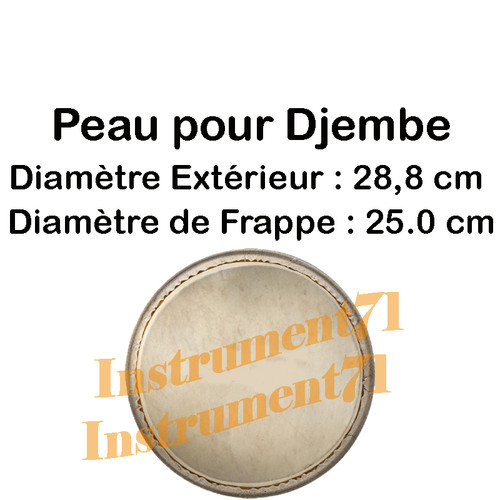 Peau pour djembe diametre - diametre, 10