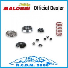 Variateur Malossi MHR Pour