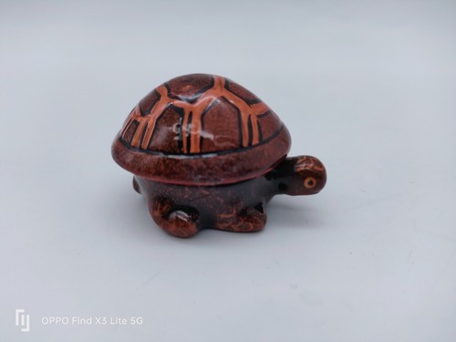 Petite boite tortue - boite, terre