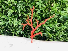 jolie branche de corail