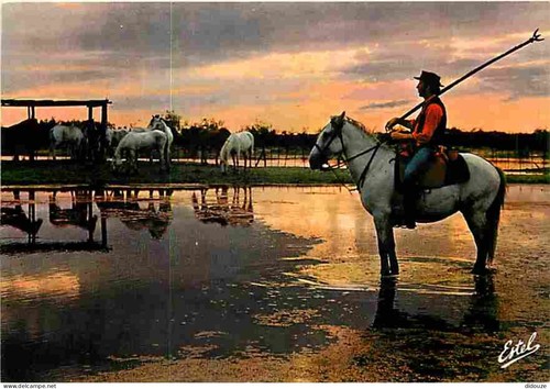 Carte postale animaux - postale,