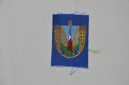 Insigne chantier jeunesse - insigne,