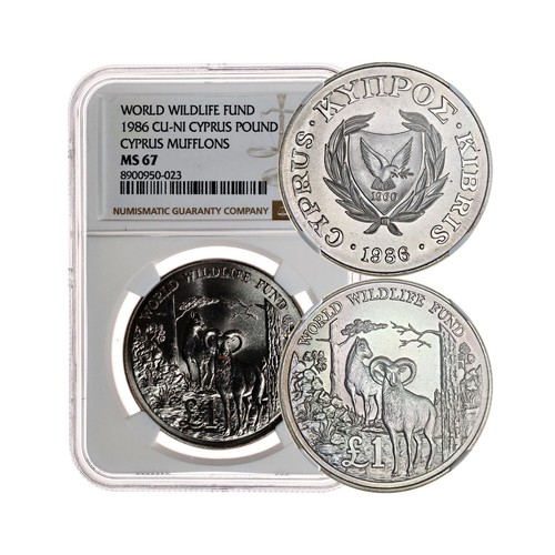 Cyprus 1986 pound ngc - 1986,,