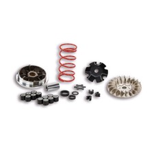 Variateur MALOSSI Multivar MHR