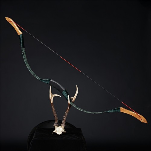 50lbs tir arc - l’arc,