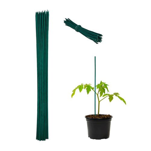 100 tuteurs pour plantes 60 - pour, plantes,