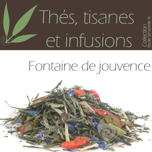 Thé vert fontaine jouvence - vert,