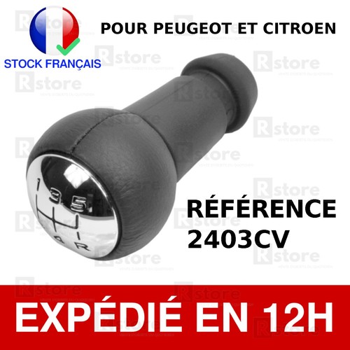 Pommeau vitesse 206 - vitesse,