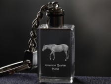 American Quarter Horse