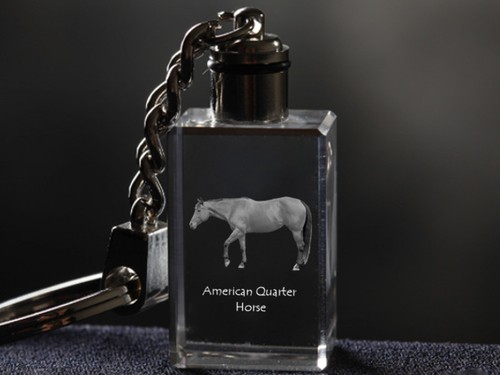 American quarter horse - quarter,