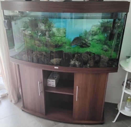 Aquarium avec meuble