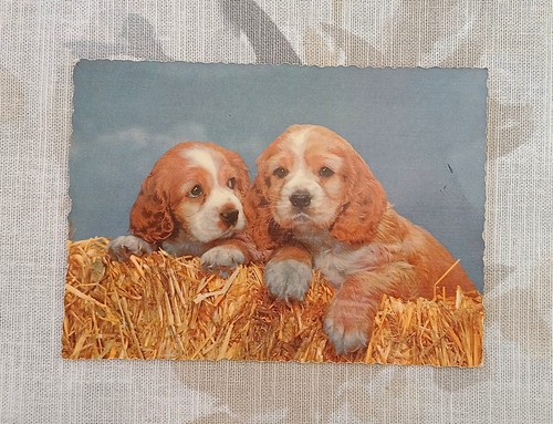Carte postale ancienne photo - postale,