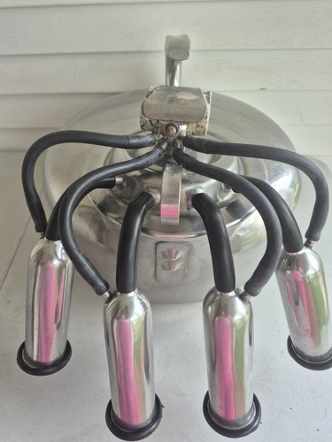 Surge milker for milking - milker,